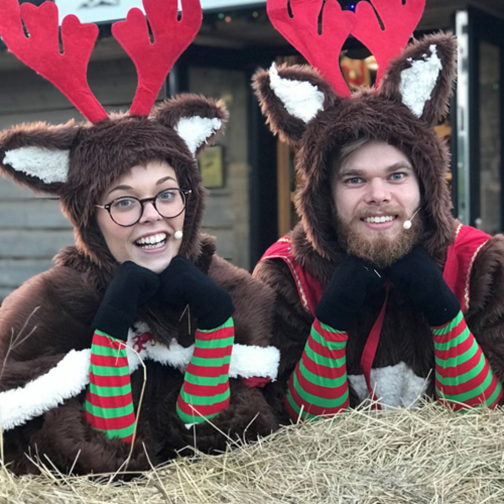 Reindeer Flying School